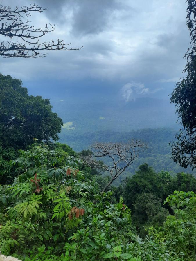 Villa Wodeyarmutt Tropical Luxury Living Sringeri エクステリア 写真