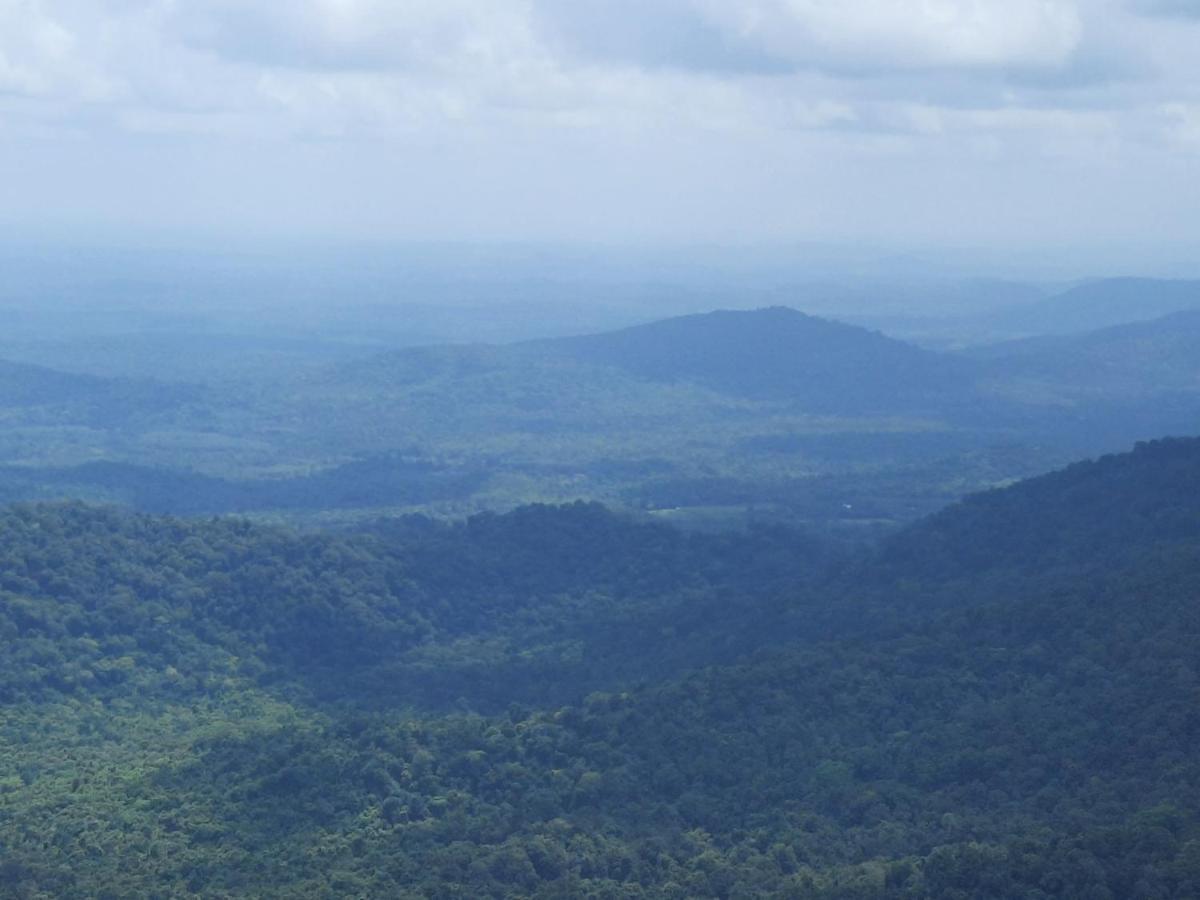 Villa Wodeyarmutt Tropical Luxury Living Sringeri エクステリア 写真